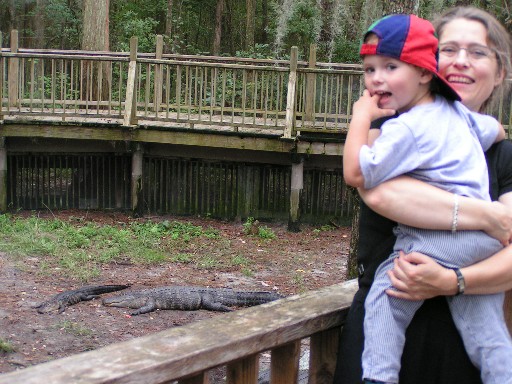 Elias and the Alligator