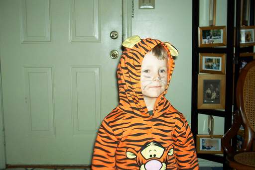 Tigger the Tiger for Halloween